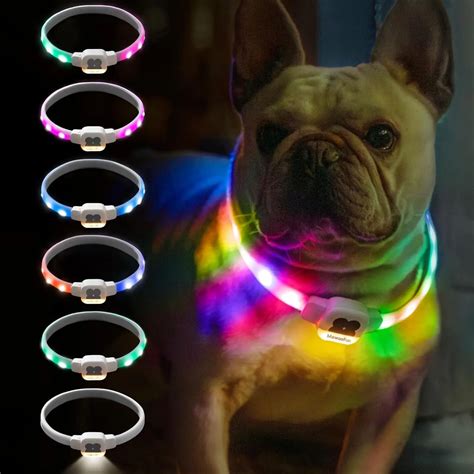 10,000+ Reasons to Upgrade to a LED Dog Collar