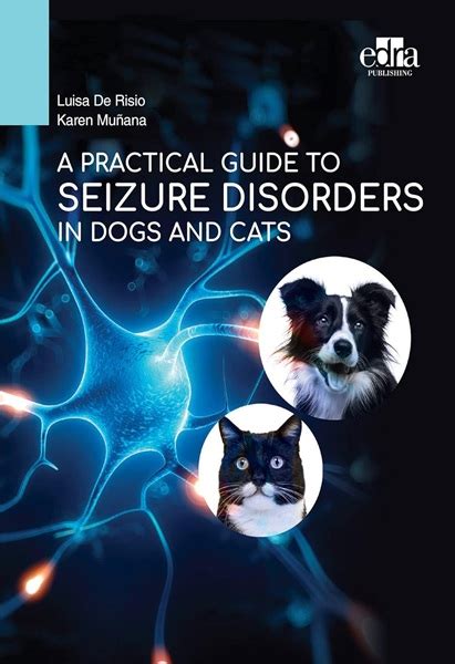 10,000+ Seizure Medicines for Dogs: The Ultimate Guide