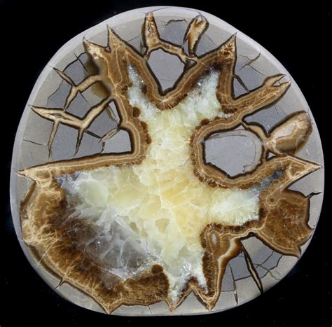 10,000+ Septarian Nodules For Sale!