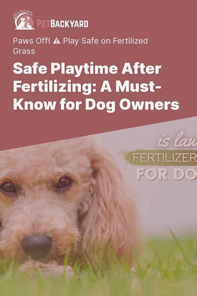 10,000+ Tips for Fertilizing Your Yard Safely with Dogs