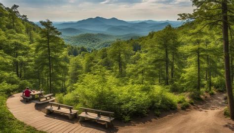 10,000+ Trees in North Carolina: A Verdant Paradise