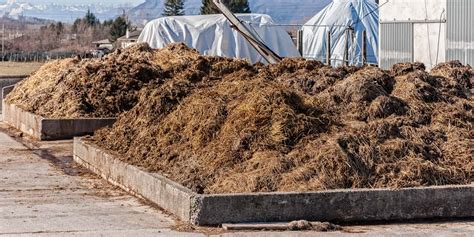 10,000+ Ways to Enhance Your Farming Yields: A Comprehensive Guide to Manure Fermentation Machines