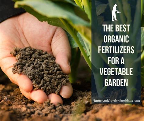 10,000+ Ways to Supercharge Your Soil with Organic Vegetable Fertilizer