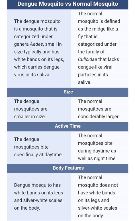 10,000+ Words Essential Guide to Distinguish Dengue and Normal Mosquito Bites: 2025 and Beyond