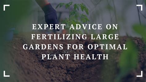 10,000+ Words of Expert Advice on How to Achieve Optimal Plant Growth