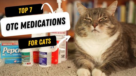 10,000+ Words of OTC Painkillers for Cats: Comprehensive Guide for Pet Owners