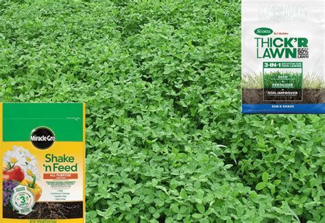 10,000+ Words on Fertilizer for Clover Food Plots: The Ultimate Guide