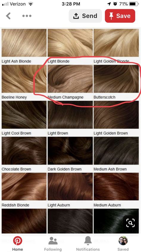 10,000+ Words on Light Ash Brown: The Ultimate Guide