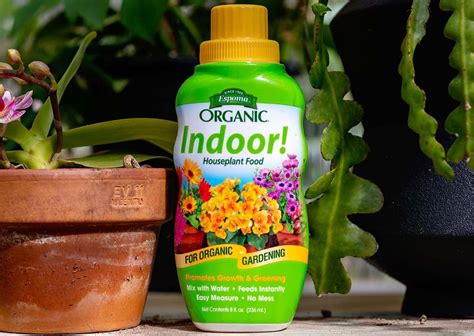 10,000+ Words on Organic Houseplant Fertilizer: Your Ultimate Guide