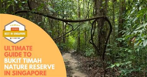 10,000+ Words on Twins Bukit Timah: The Ultimate Guide