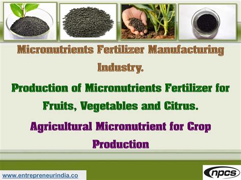 10,000 Facts About Micronutrient Fertilizer