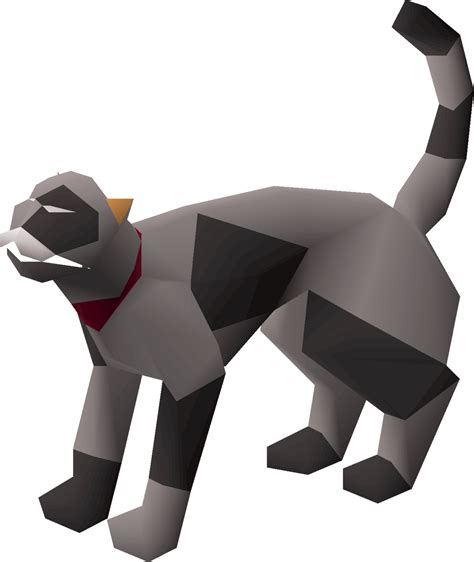 10,000 Facts About OSRS Full Grown Cats