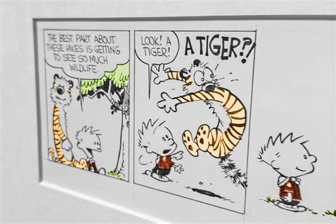 10,000 Fascinating Facts About Calvin & Hobbes Books