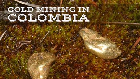 10,000 Golden Nuggets: Unlocking the Value of Colombian Gold