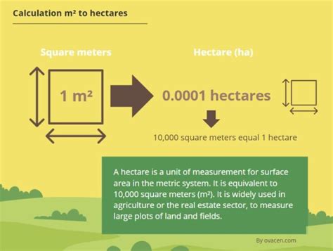 10,000 Hectare to Meters Conversion: A Comprehensive Guide