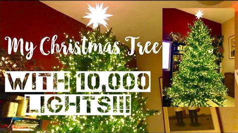 10,000 LED Christmas Trees: A Comprehensive Guide