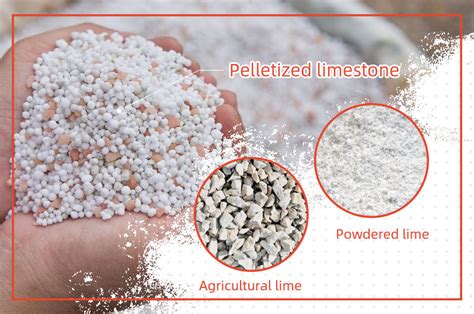 10,000 Machines, 100,000 Pellets: The Ultimate Guide to Pelletized Products