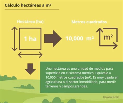 10,000 Metros Cuadrados a Metros: Your Comprehensive Conversion Guide