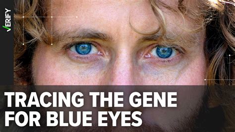 10,000 Mexican with Blue Eyes: A Unique Genetic Mystery