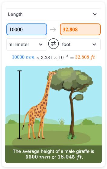 10,000 Millimeters to Feet: An Informative Guide for Precision Measurement