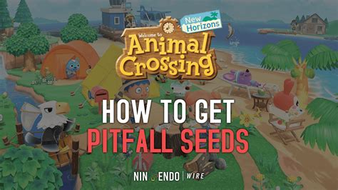 10,000 Pitfall Seeds Later: The Ultimate Guide to Animal Crossing's Notorious Trap