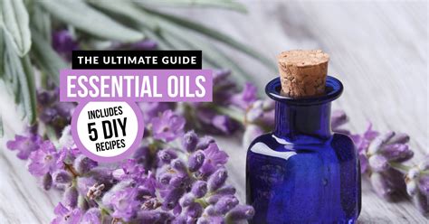 10,000 Powerful Uses for Essential Oil Diffusers: The Ultimate Guide