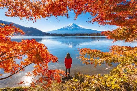 10,000 Reasons to Admire the Japan Fall Season Wheel