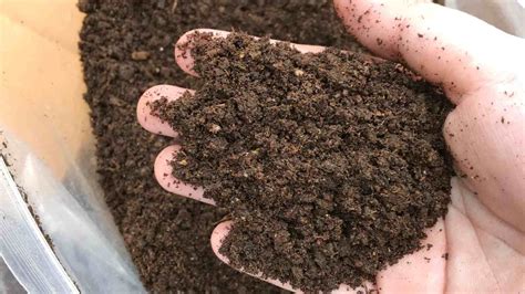 10,000 Reasons to Use Guano Fertilizer