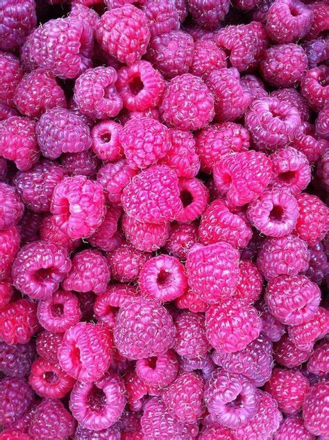 10,000 Spectacular Shades of Raspberry Pink