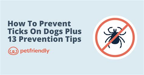 10,000 Steps to Tick Prevention for Your Dog: A Comprehensive Guide