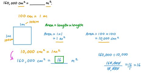 10,000 Surprising Uses for a 1 cm² Square