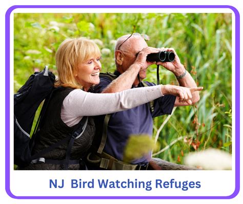 10,000 Tips for Jersey Bird Watching: A Comprehensive Guide