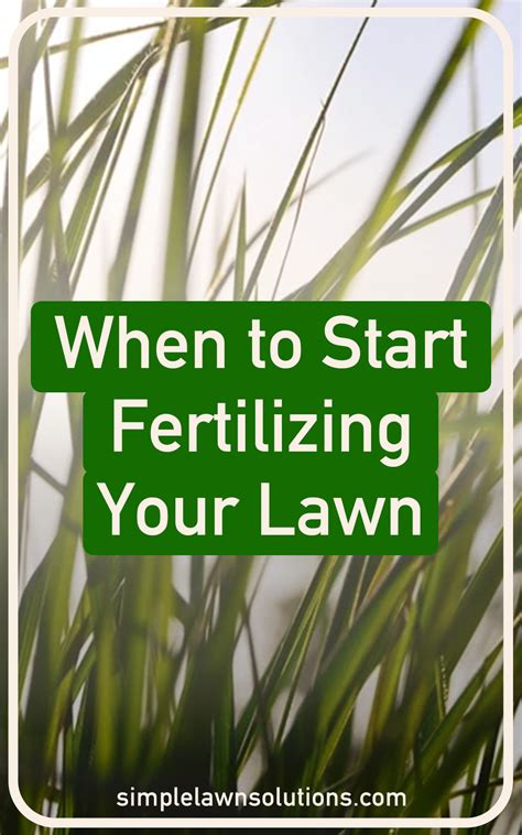 10,000 Ways to Start Fertilizing Your Soil Today