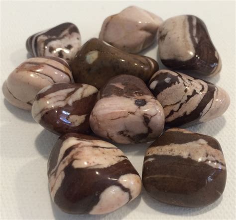 10,000 Wonders of Brown Zebra Jasper Mineral