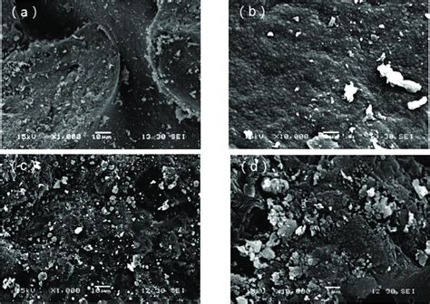 10,000-Fold Magnification: Unveiling the Microscopic World with Amp to Microamp Conversion