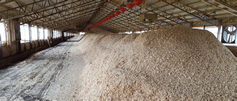 10,000-Ton Poultry Manure Collection and Pre-Treatment