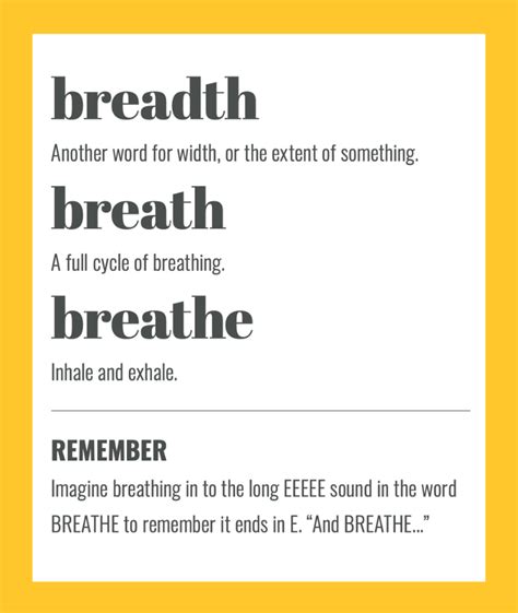 10,000-Word Exploration: Breadth vs. Breath