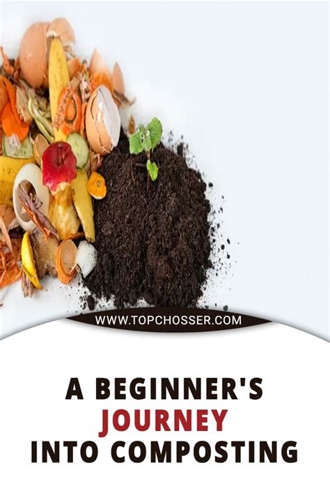 10,000-Word Guide: Making Compost Machines for Beginners and Pros