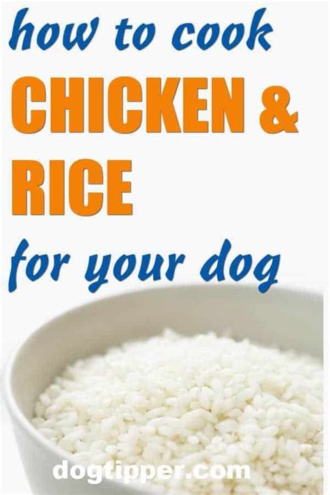 10,000-Word Guide to Chicken Rice for Dogs