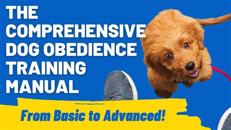 10,000-Word Guide to Teaching a Puppy Obedience: A Comprehensive Manual