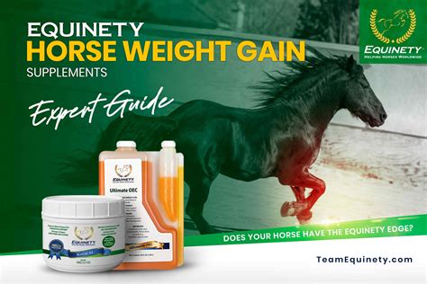 10,000-Word Guide to Weight Gain Supplements for Horses: Transform Your Horse's Physique