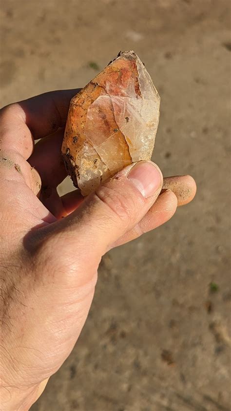 10,000-Year-Old Quartz Discovery in My Backyard!