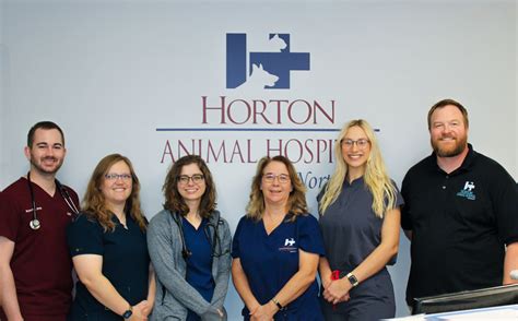 10,001 Veterinarians in Columbia, Missouri: Your Guide to Top-Rated Animal Care