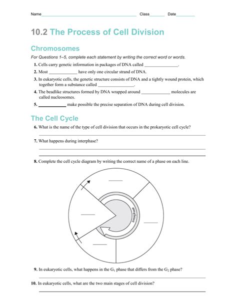 10 2 Cell Division Answers PDF