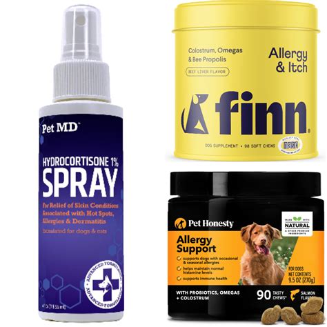 10 Allergy Pills for Dogs That Will Save Your Pet's Life