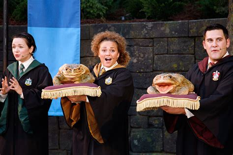 10 Amazing Facts About the Frog Choir from Harry Potter