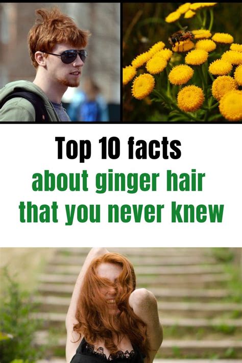 10 Astonishing Facts About Ginger Hair Wigs That Will Blow Your Mind