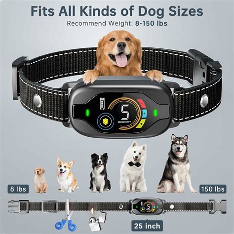 10 Bark Collars That Will Finally Shut Up Your Large Dog