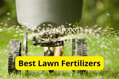 10 Best Fertilizers for Grass at Walmart in 2023