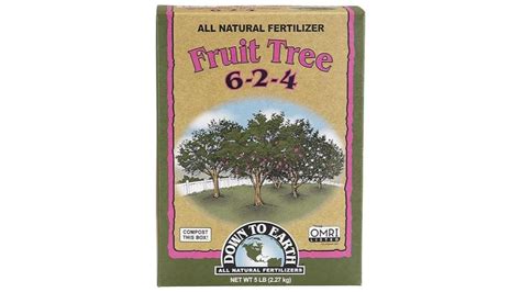 10 Best Guava Tree Fertilizers: Essential Guide to Boost Your Harvest